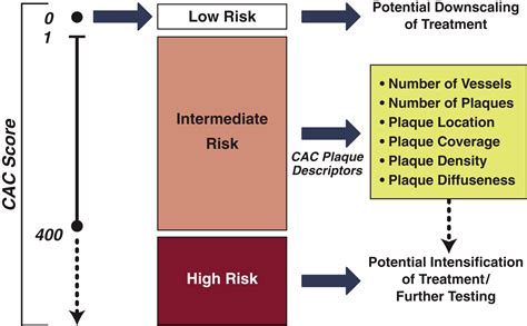 Coronary Artery Calcium Scanning: The Agatston Score and Beyond∗ | JACC: Cardiovascular Imaging