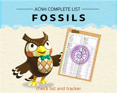 Acnh Fossil Models at Tammy Jackson blog