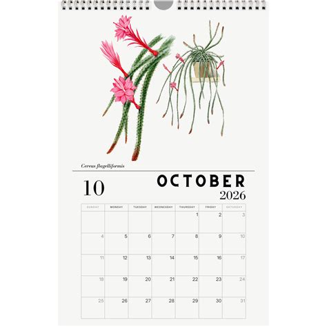 2026 Cactus Calendars - Planet Desert