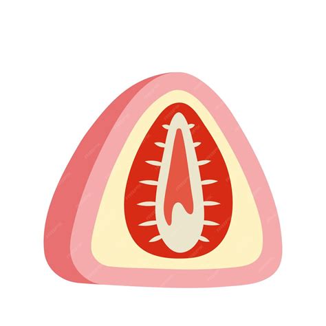 Premium Vector | Daifuku. glutinous rice paste cake with strawberry ...