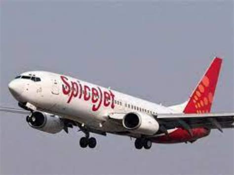 Image result for SpiceJet Big