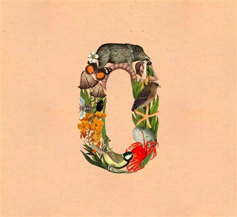 Nature艺术字 的图像结果