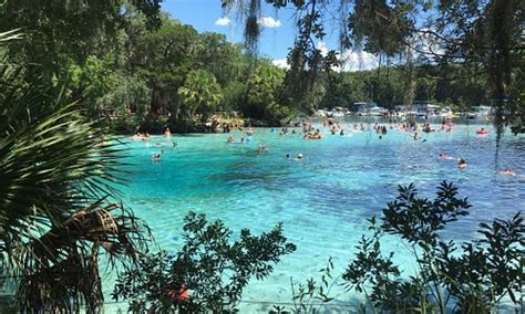 Salt Springs Tourism (2023): Best of Salt Springs, FL - Tripadvisor