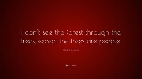 Sloane Crosley Quote: “I can’t see the forest through the trees, except the trees are people.”