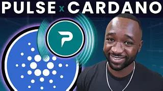 PULSE: The New Yield Powerhouse Transforming Cardano DeFi ...