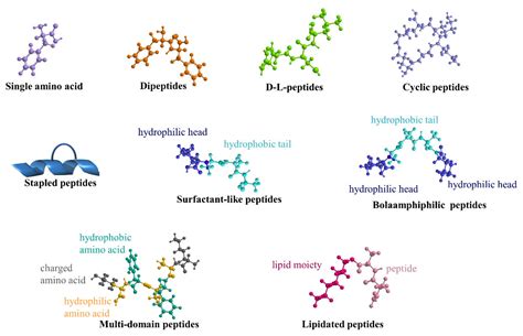Self-Assembling Peptides: From Design to Biomedical Applications