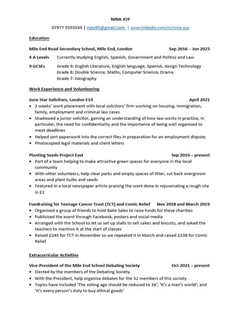 Image result for Good CV Example