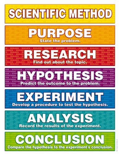 Image result for Scientific Method List