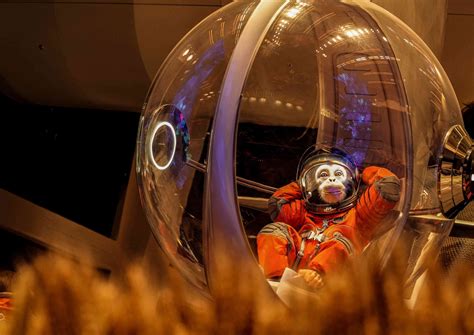 Parallel Space-Time 的图像结果