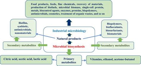 Fakir Mohan University : Institutional Learning Management System(iLMS)