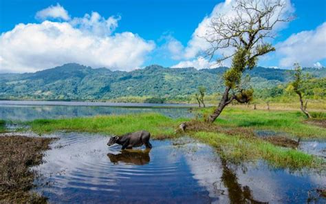 Lake Of No Return In Arunachal Pradesh | WhatsHot Kolkata