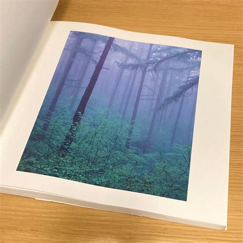 LOUIS VUITTON FOREST: Mikiya Takimoto / ルイ・ヴィトンの森: 瀧本幹也 | 百年