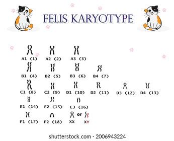 Image result for Research Code Sheet Example