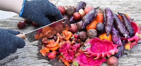 Image result for Kitchen Waste Composting