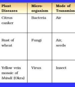 Make a table of some common plant diseases caused by microorganisms ...