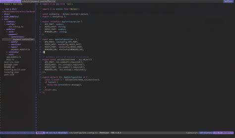 Nvim Config File 的图像结果