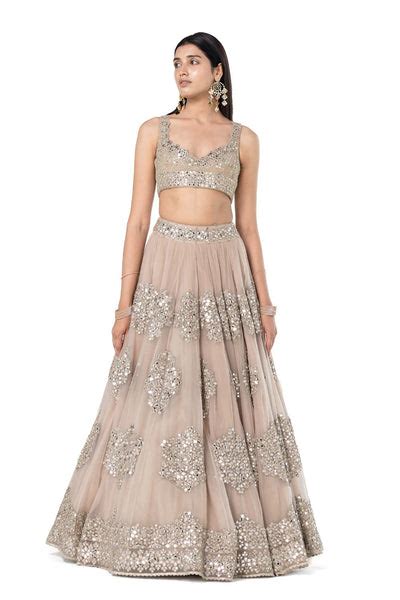 Moon Grey embellished organza lehenga set – abhinavmishra