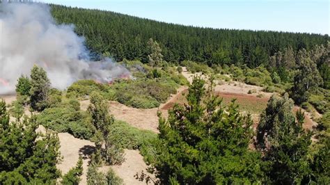 Image result for Modeling Forest Fire Using Maxent