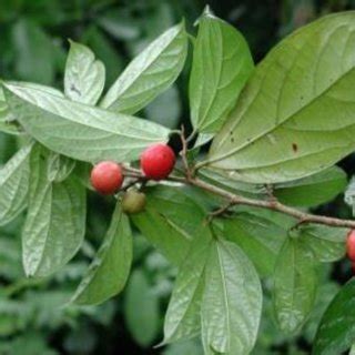 Image result for Components of File Explorer