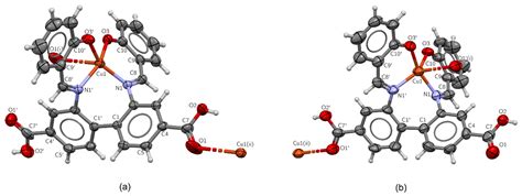 Polymeric Copper(II) Complexes with a Newly Synthesized ...