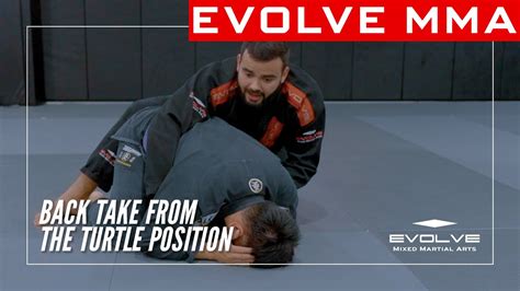 Image result for Turtleback Position