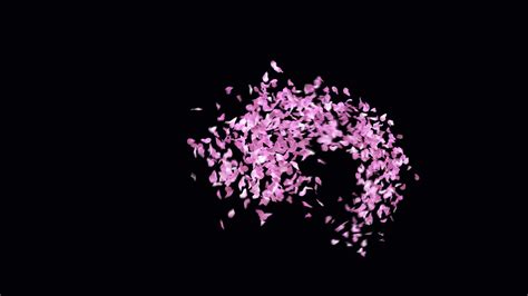 Animated Sakura Petals text letters typeface with alpha channel the character B 40716841 Stock ...