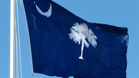 How South Carolina became known as The Palmetto State | Hilton Head ...