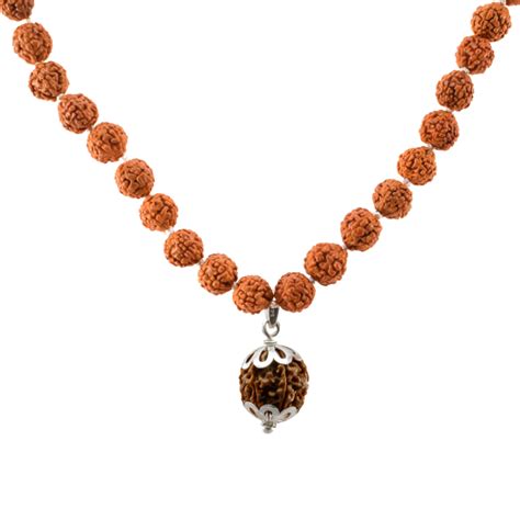 7 Mukhi Rudraksha Mala Original rudraksha for best effect.
