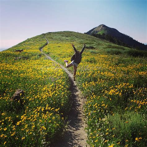 No Filter... Seriously. Ben Lomond Peak, Utah, USA. : hiking