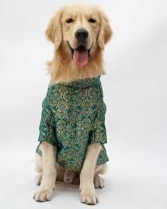 Waaouch Festive Dog Kurta Sherwani for Indian, Designer Traditional ...