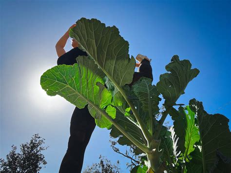 Orlando Yoga...On Our Fleet Farms! - IDEAS For Us