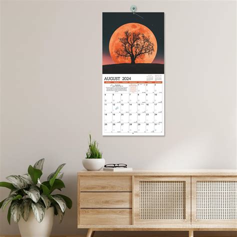 Pinchoco 2024 Calendar - 2024 Wall Calendar, January 2024 - India | Ubuy
