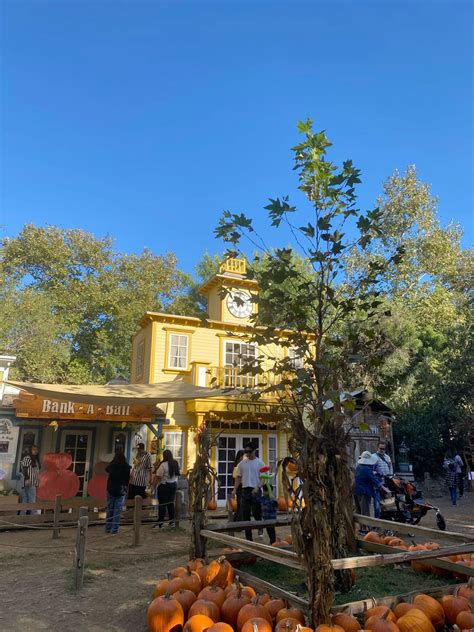 irvine park railroad | Irvine park, Irvine pumpkin patch, Irvine