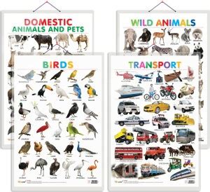 Set of 4 Domestic Animals and Pets, Wild Animals, Birds and Transport ...