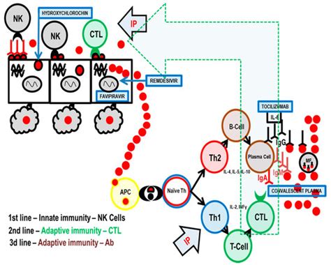 Inosine Pranobex Significantly Decreased the Case-Fatality Rate among ...