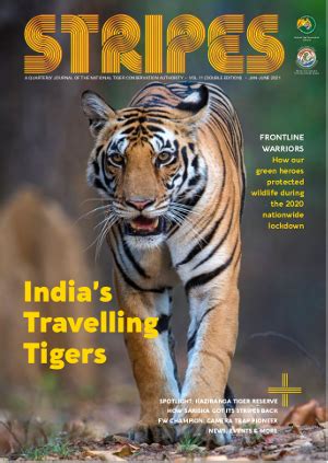 National Tiger Conservation Authority