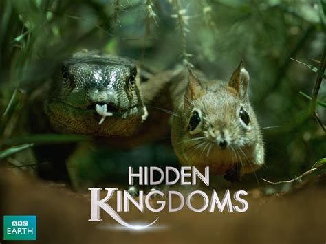 Prime Video: Mini Monsters aka Hidden Kingdoms