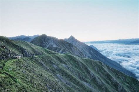 Alpine Zoo and Roundtrip Nordkette Cable Car Ticket in Innsbruck ...