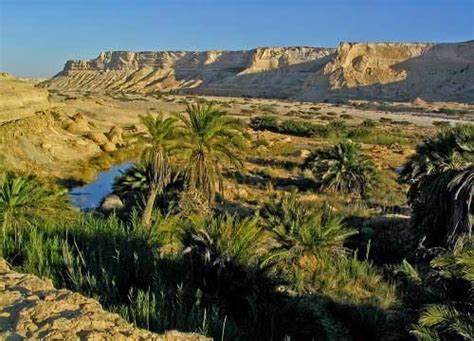 86 Apartments for Sale in Oman | Properstar