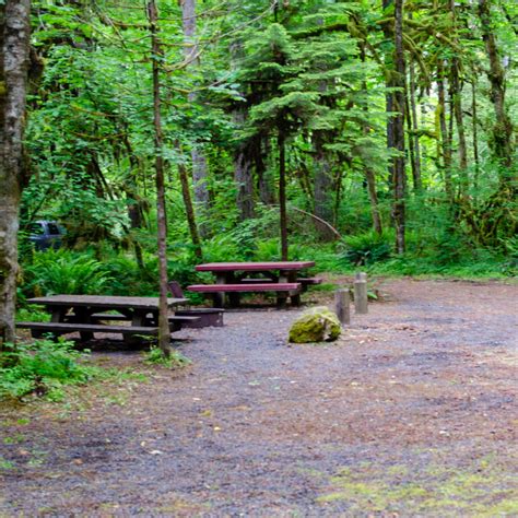 Trout Creek Campground | The Dyrt