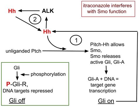 IC Regimen: Delaying Resistance to Lorlatinib in ALK Driven Cancers by ...