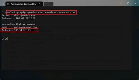 How to Find Public IP Address of PC Using Cmd 的图像结果