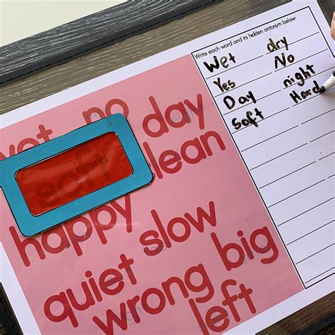 Secret Spy Vocabulary: Antonyms for Grades 2-4 - Childhood101 Shop