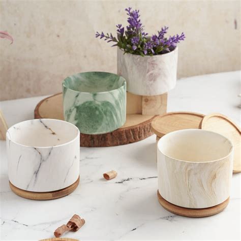 Marbleous Ceramic Flower Planter With Coaster Set Of 4 Online - Premium ...