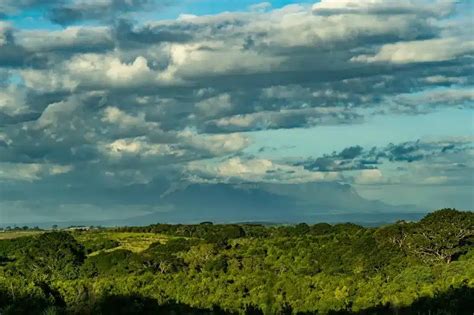 South East Africa Montane Archipelago (SEAMA)