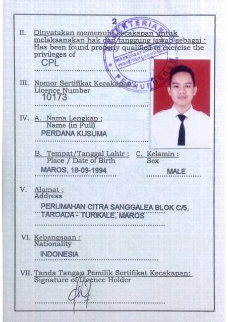 Image result for Civil Aircraft Pilot License