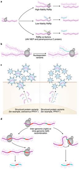 Pathogens | Special Issue : The Structure-to-Function Relationship of ...