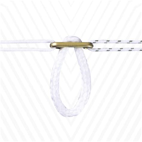 Image result for Transnasal Loop Fixation