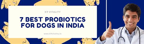 7 Best Probiotics for Dogs in India | K9 Vitality