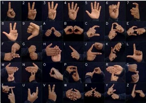 Image result for Hand Gestures Sign Language
